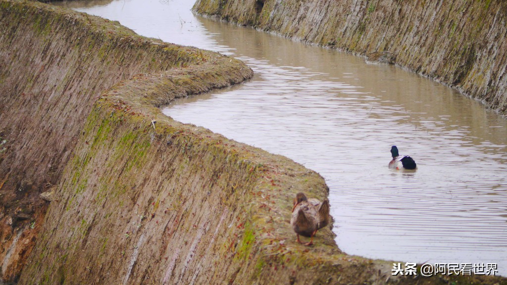 云南普者黑元阳坝美6天旅游攻略,云南建水普者黑旅游路线