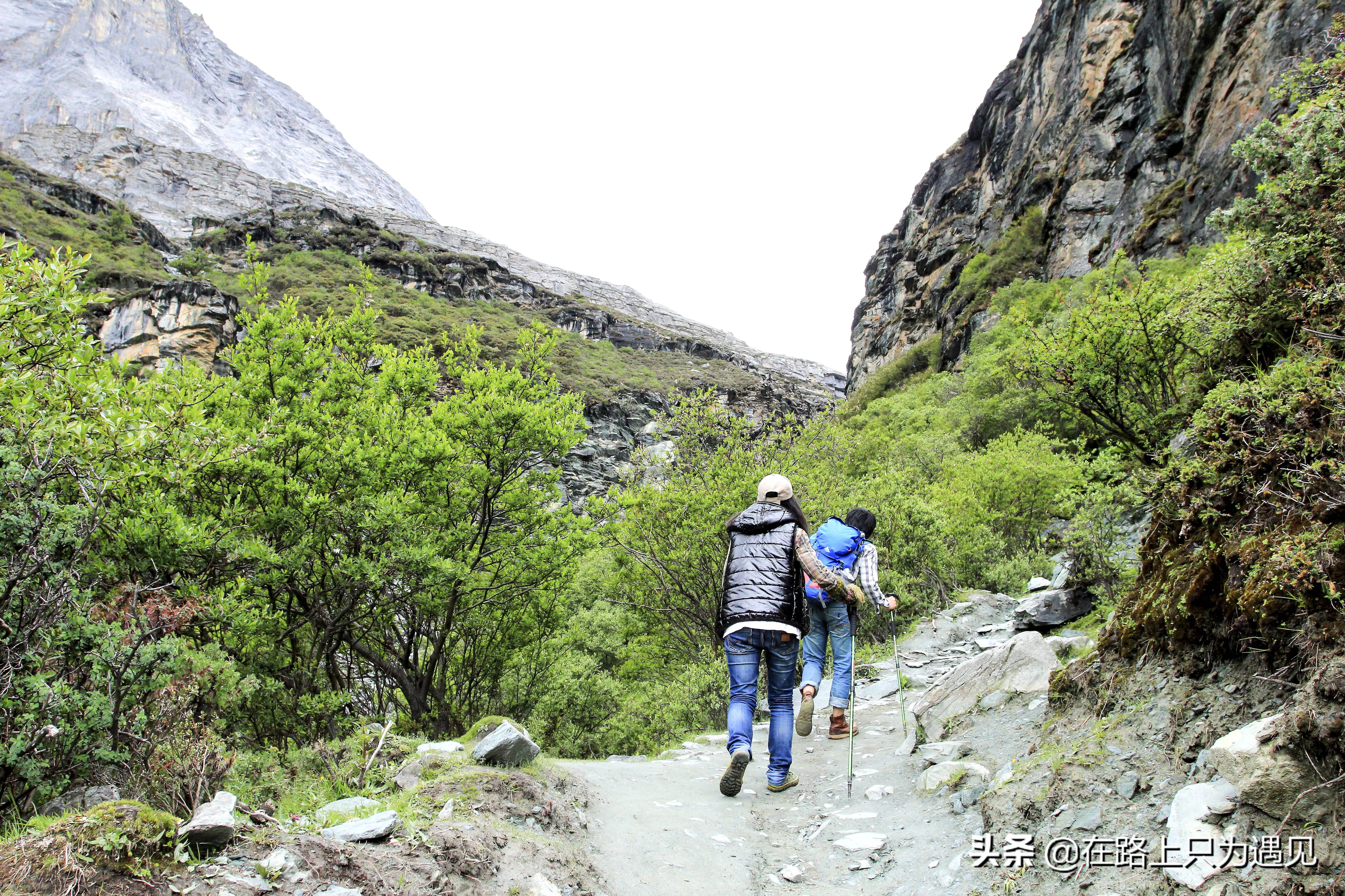 从你的全世界路过稻城亚丁主人公,从你的全世界路过稻城亚丁片段