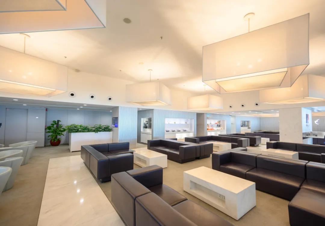 澳门旅行实用攻略视频教程,澳门旅行攻略英语怎么说