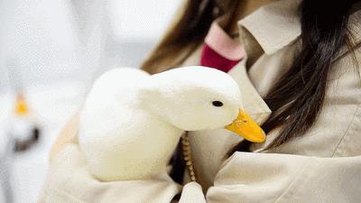 唐山吾悦广场美食合集,唐山吾悦广场美食有哪些