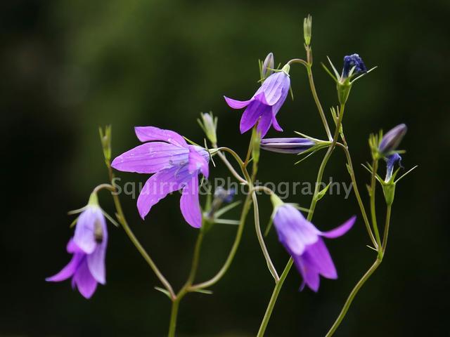 期权开户30万解决方法,期货期权个人开户