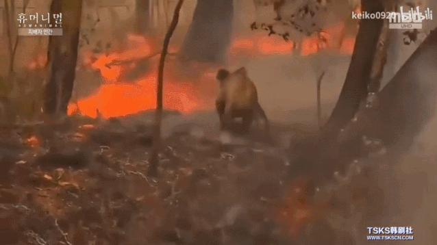 15岁怀孕,她被骗吃下*药炸**,一尸两命:有些人,这辈子不配为人