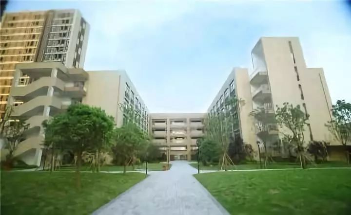 重庆育才高中班型,重庆育才中学各校区排名