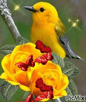 这是我见过最美的风景吗,这是我见过的最美的风景英语