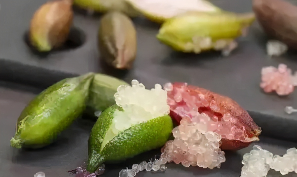 果实有毒的植物有哪些,最毒的植物水果