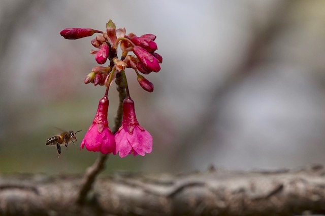 中医治皮肤过敏瘙痒,焦虑症全身游走性痒中药