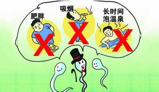 备孕时，精子需要多少天的准备期？