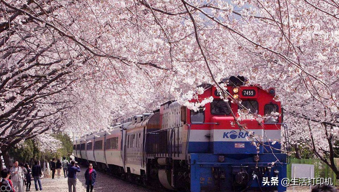 最受韩国欢迎的城市,最受韩国人欢迎的城市