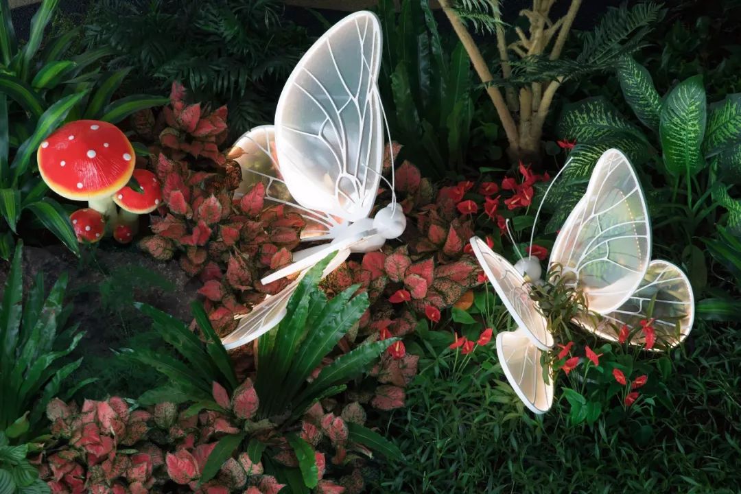 萌宠上阵，整个空间都奇趣了！