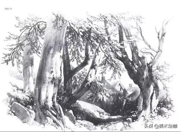 静物素描风景图临摹,简单又好画的彩铅素描风景图