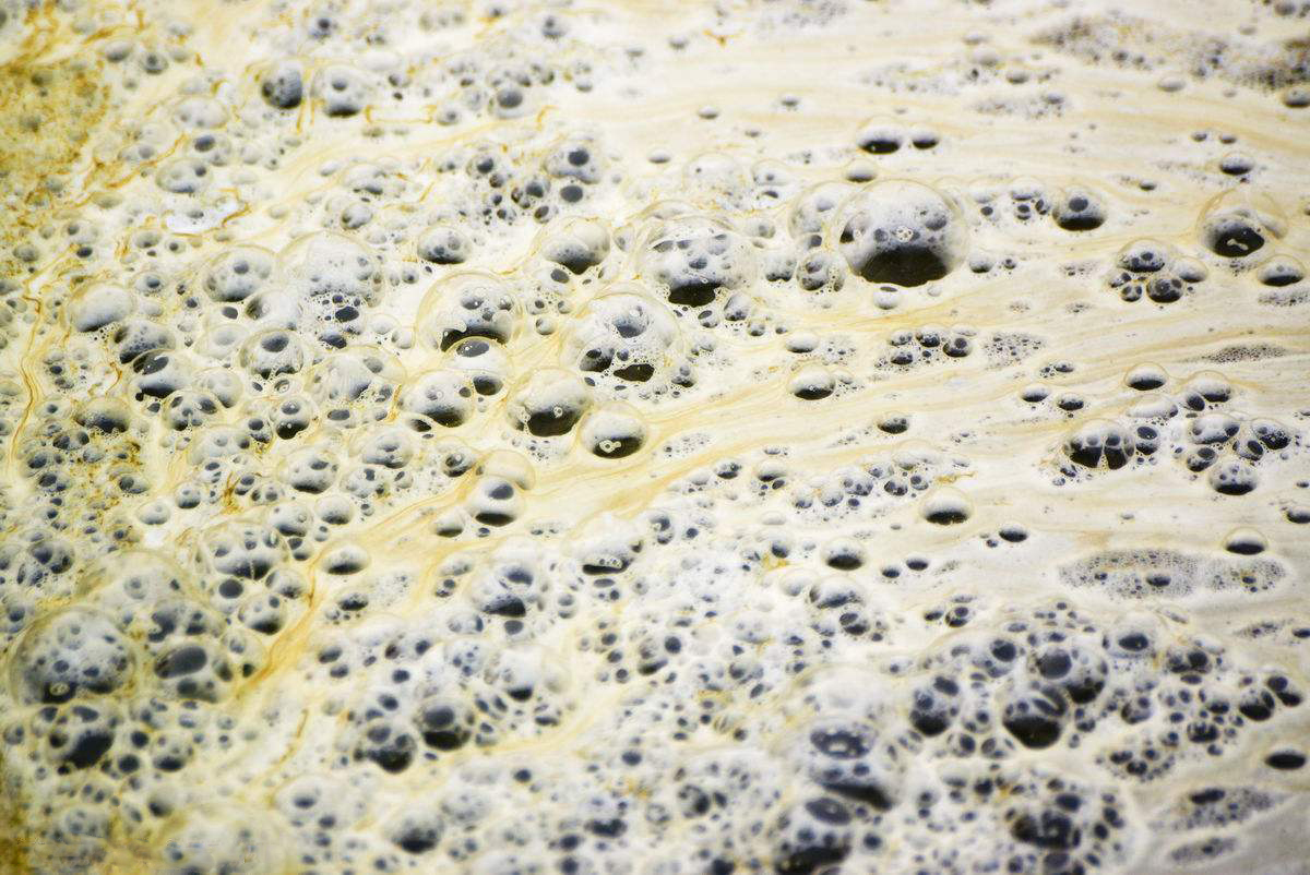 生物水处理综述,生物污水处理的优点和缺点