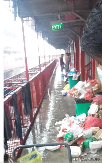 新加坡隔离一日三餐伙食,新加坡高档隔离餐