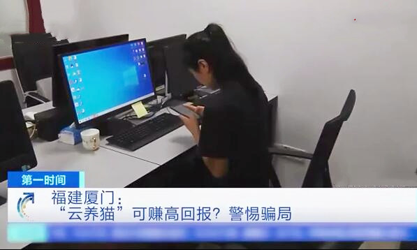 养猫被骗报警了,网络养猫被骗案