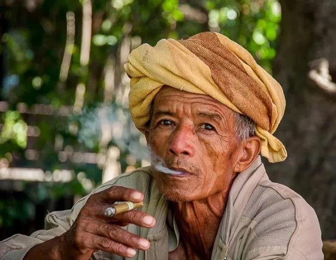 缅甸水果雪茄,缅甸罗宾娜雪茄价格