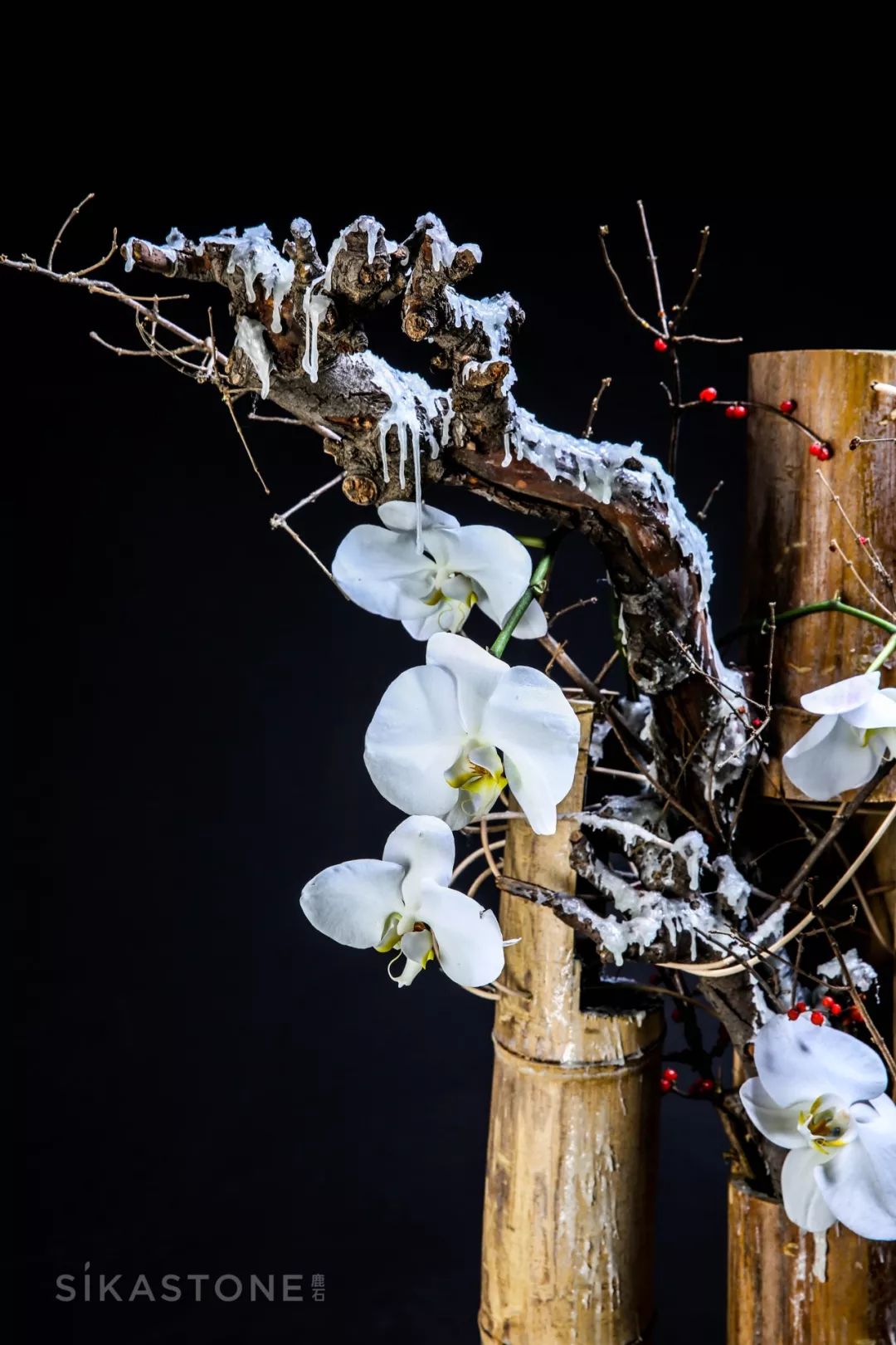 了不起的发明主题目标,了不起的发明主题环创