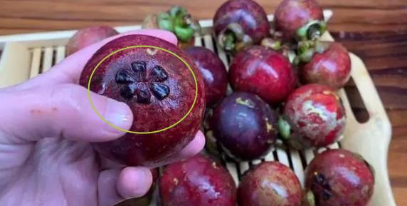 香甜山竹如何挑选,山竹怎么挑皮薄的又甜