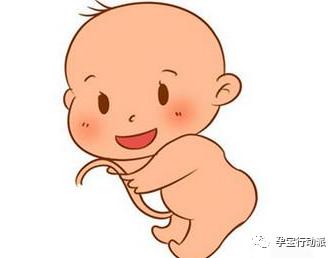 脐带脱垂胎儿存活几率有多大,为什么会发生脐带脱垂