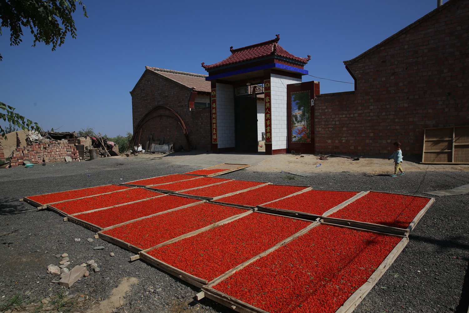 丰收快乐节,农民丰收节唱出丰收喜悦