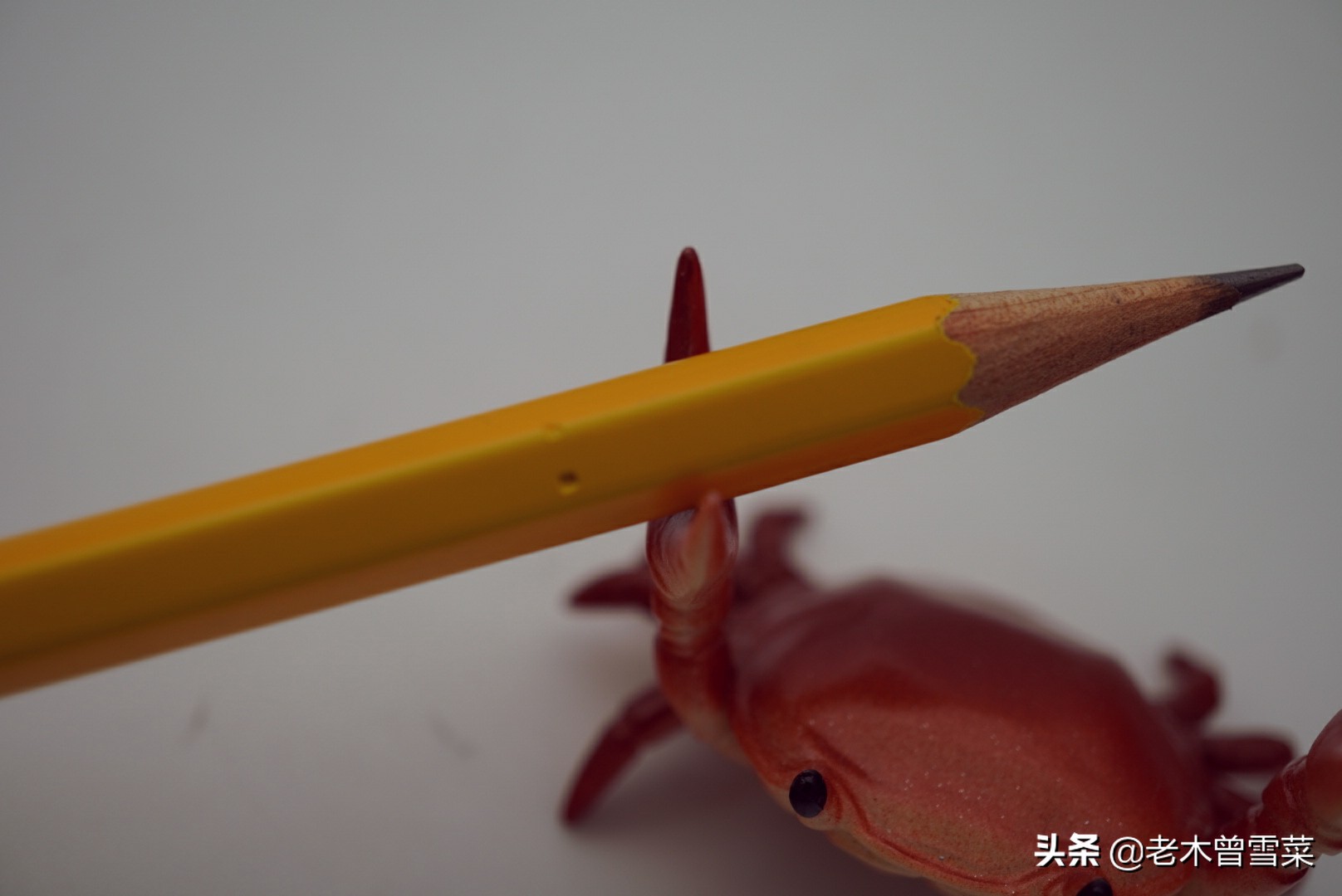 什么牌子的铅笔质量最好,国货铅笔哪个品牌好