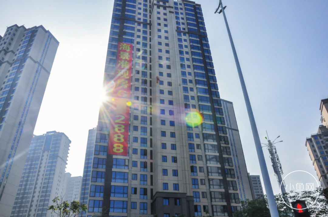 鬼城or未来可期？我们走进漳州港，发现“接盘侠”的各种悲喜交加