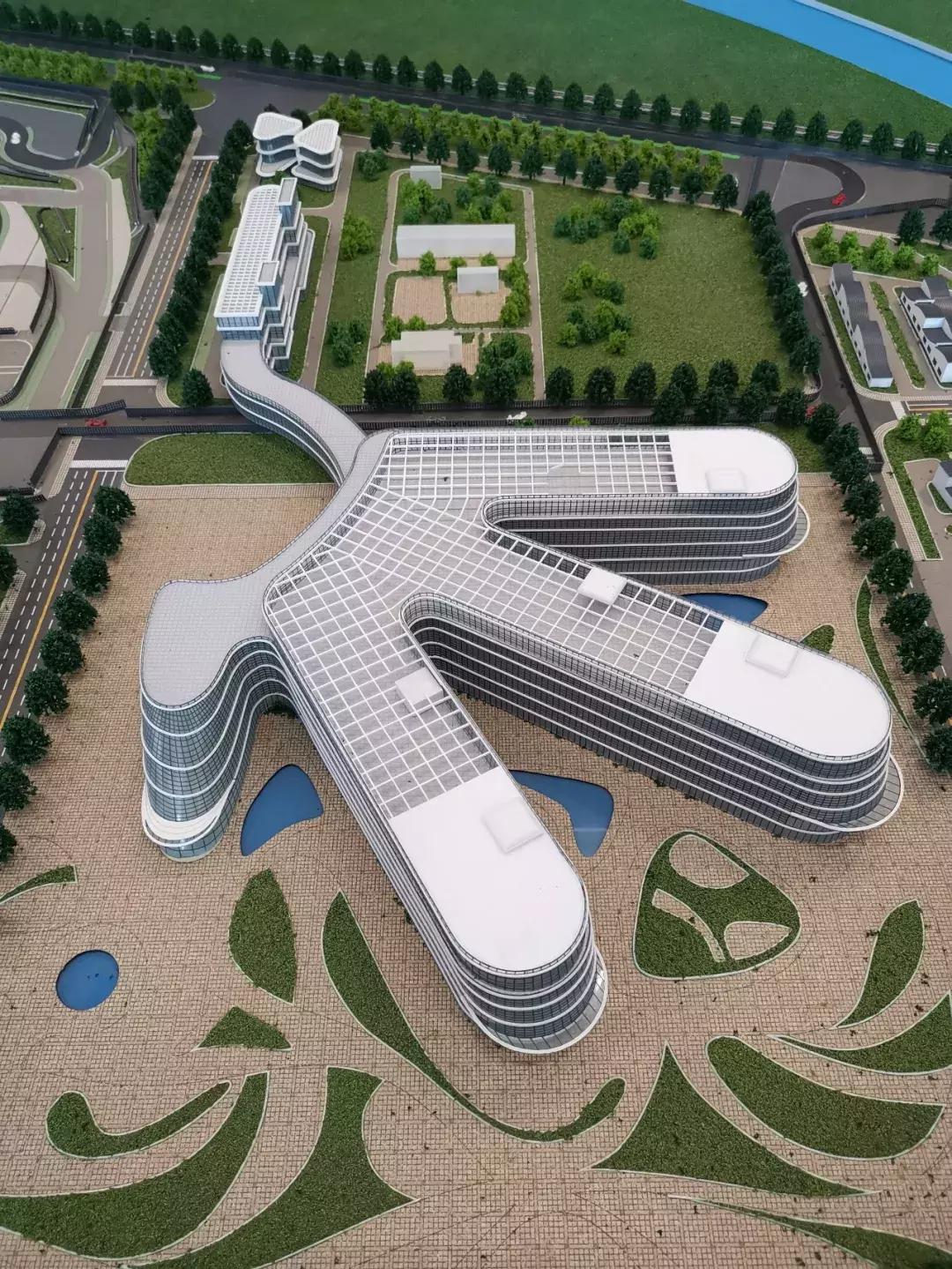 如果当年你投资了佛罗伦萨小镇（附院长真容）...