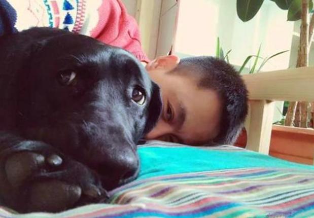 辟谣养狗对小孩不好,辟谣养狗危害