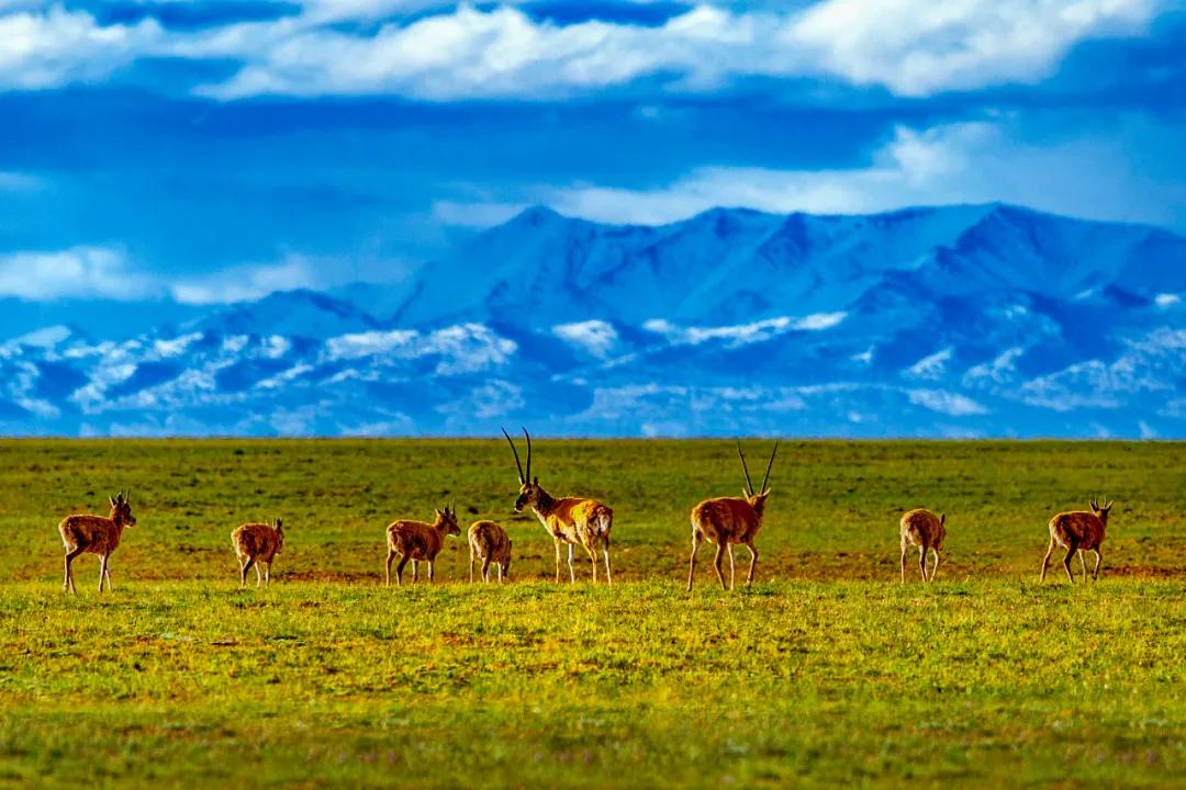 中国西部有什么美丽的风景,中国沿路风光最美铁路