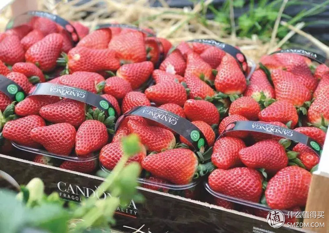 20元小酒推荐,100元小酒推荐