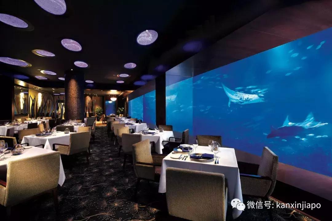 圣淘沙名胜世界视频,圣淘沙名胜世界30分钟打卡