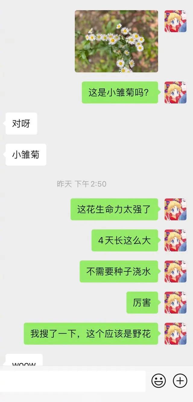 明星都用什么头像赵丽颖,明星照片关晓彤迪丽热巴