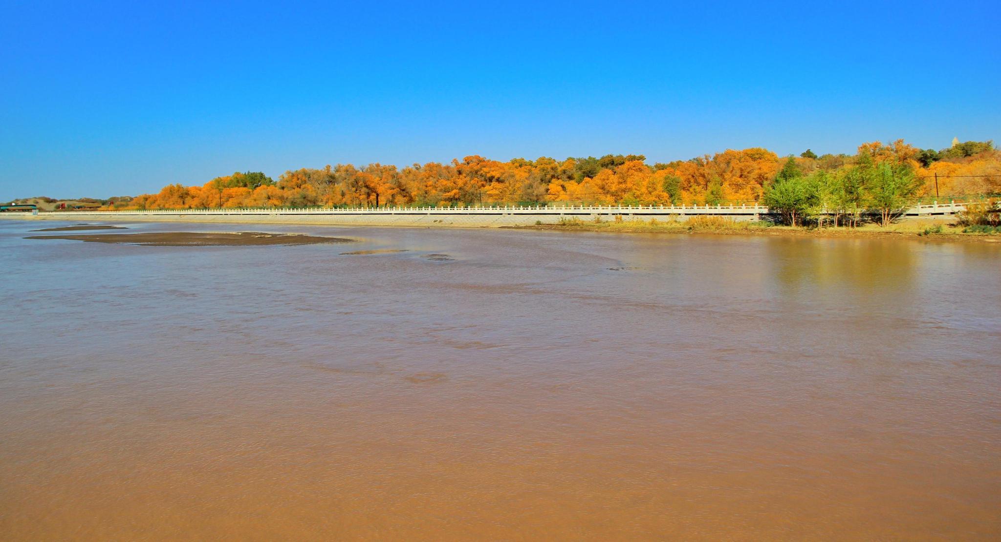 我滴个乖乖!甘肃竟然有这么多的世界珍贵动物