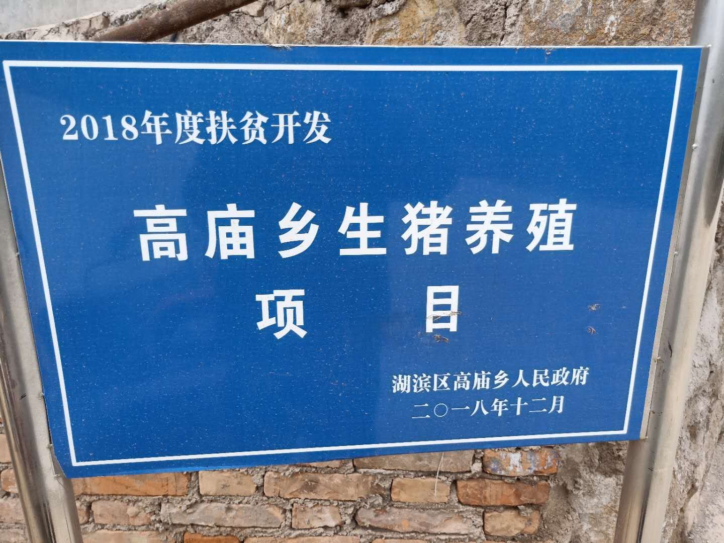 生猪代养注入致富活水,生猪代养场扶贫效益成效分析