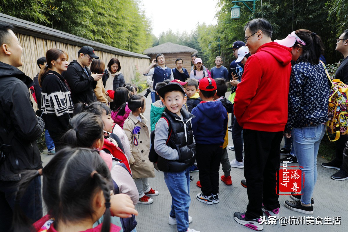 「杭州美食生活」径山淡竹元民宿，享受禅茶竹韵慢生活
