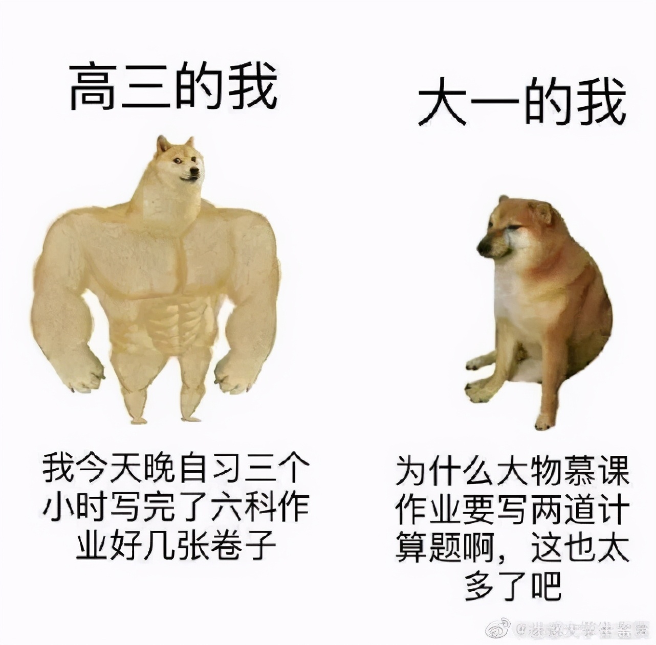 每日内涵囧图,每日囧图笑你一整天