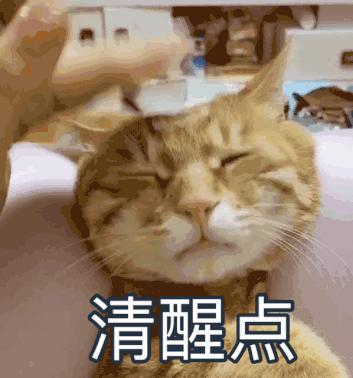 6元看全集，热播剧《扫黑风暴》资源曝光？