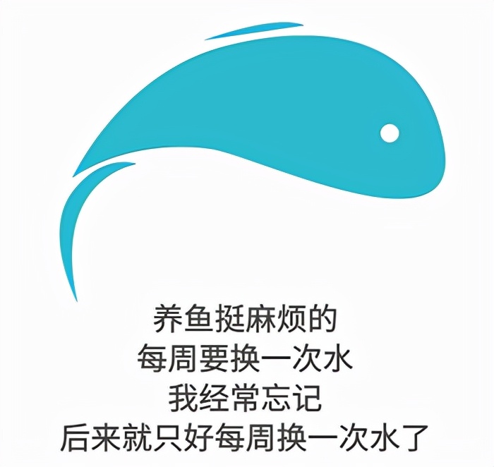 奥迪官方认证二手a4l长沙,二手车奥迪a4l验车