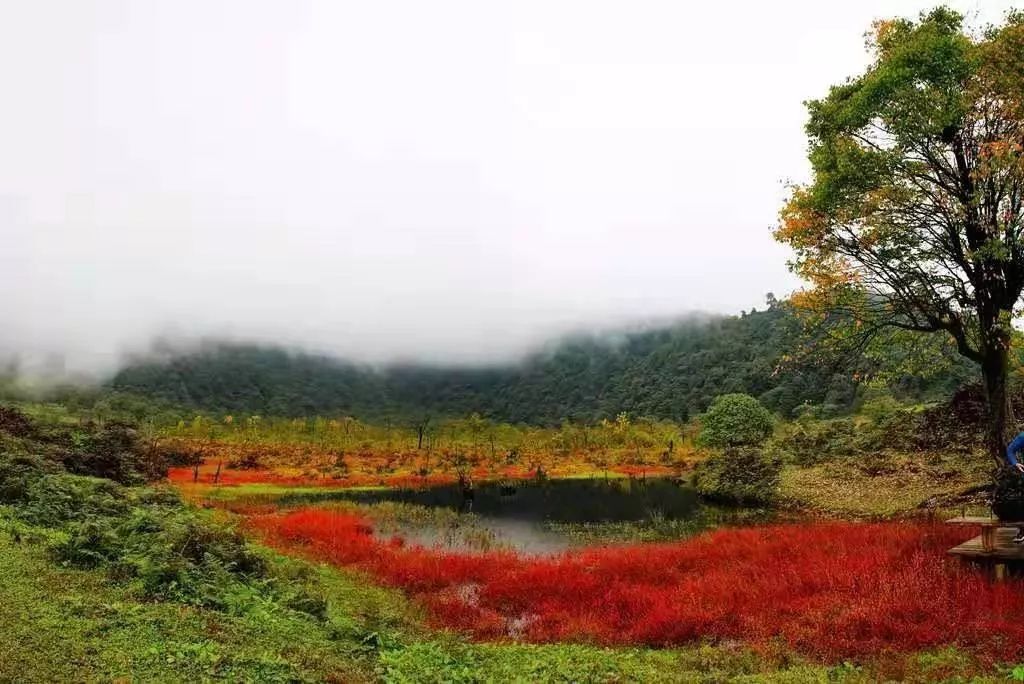 红了！黑竹沟迎来颜值巅峰，分分钟带你穿越五彩童话世界