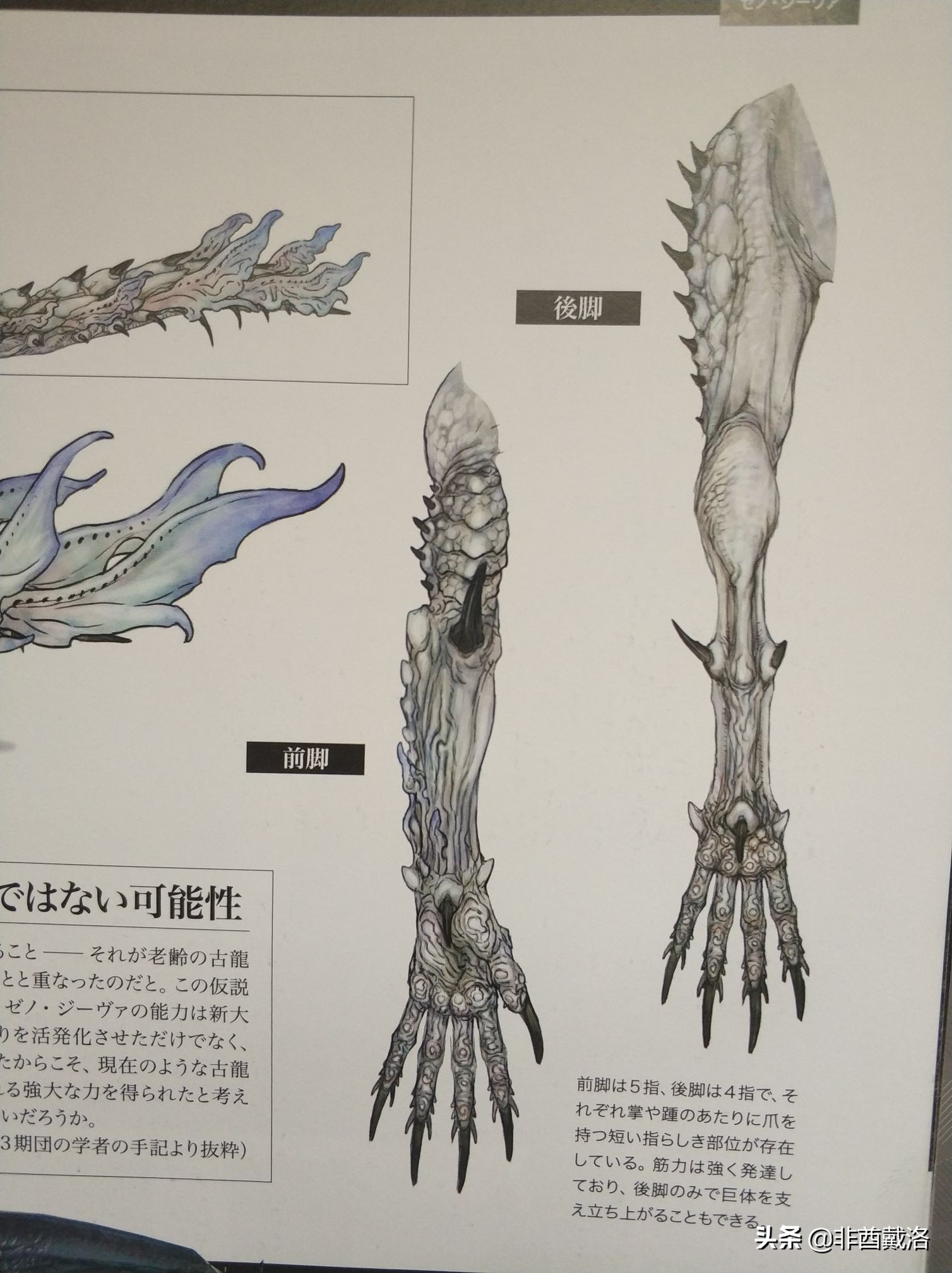 怪猎生态冰牙龙,怪猎古龙特性