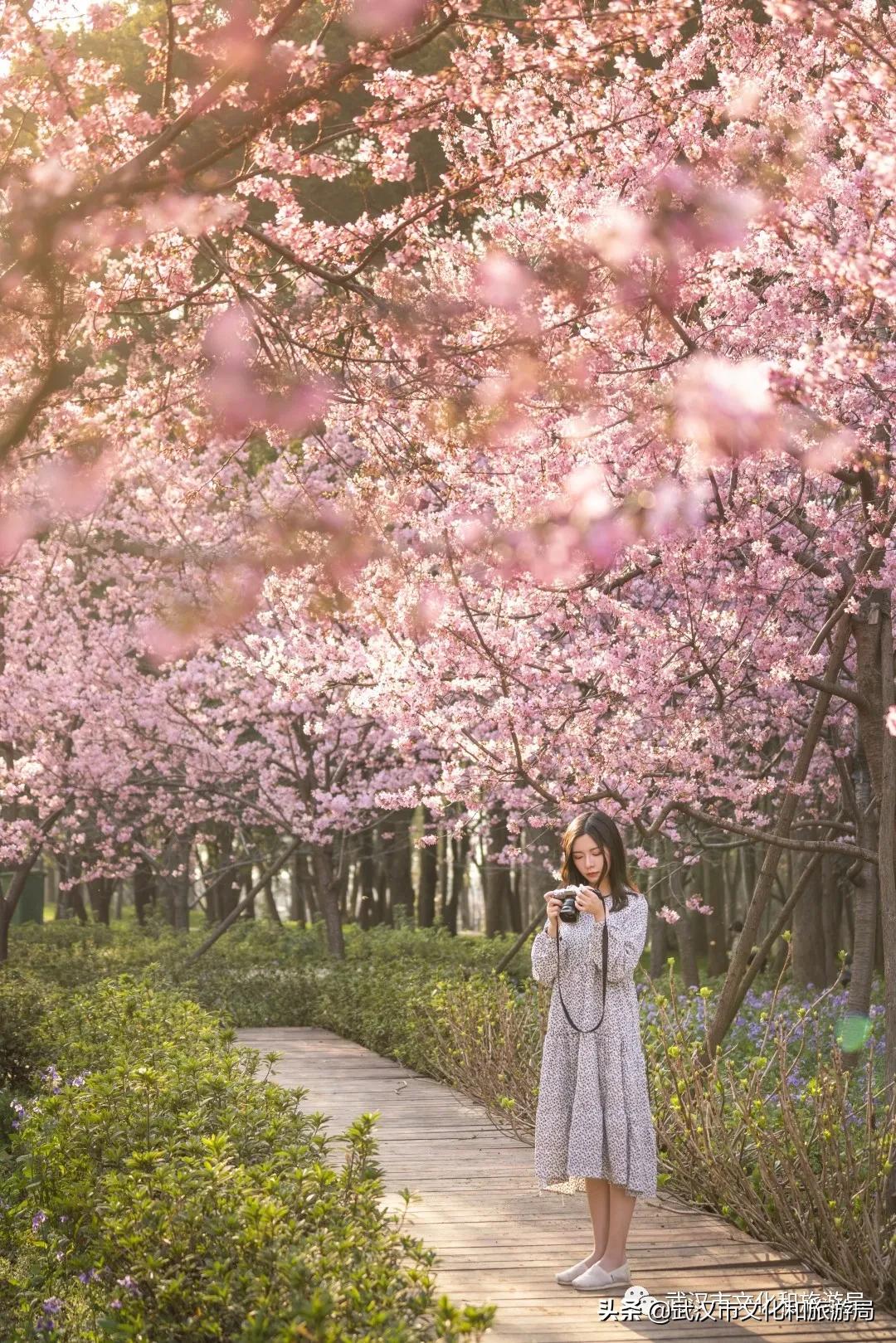 来武汉必须知道的10件事,武汉读大学攻略