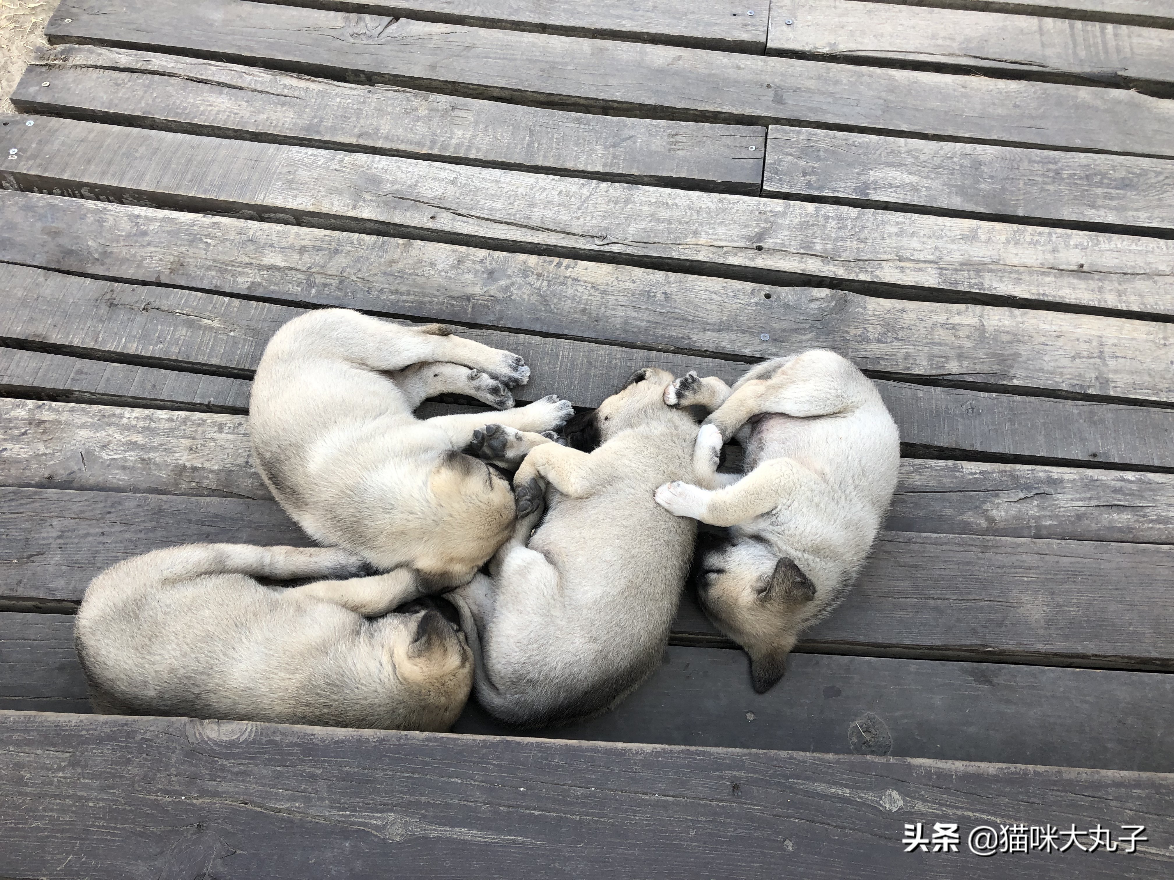 浪漫的土耳其热气球飞行之旅,热气球不仅仅在浪漫的土耳其