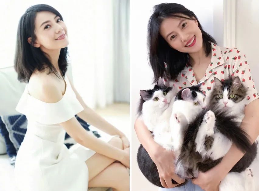 各种脸型适合什么短发发型设计,哪种发型的短发才好看