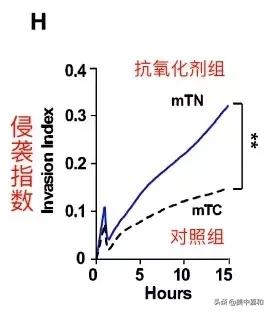 维生素e导致肿瘤,维生素e会影响乳腺增生吗