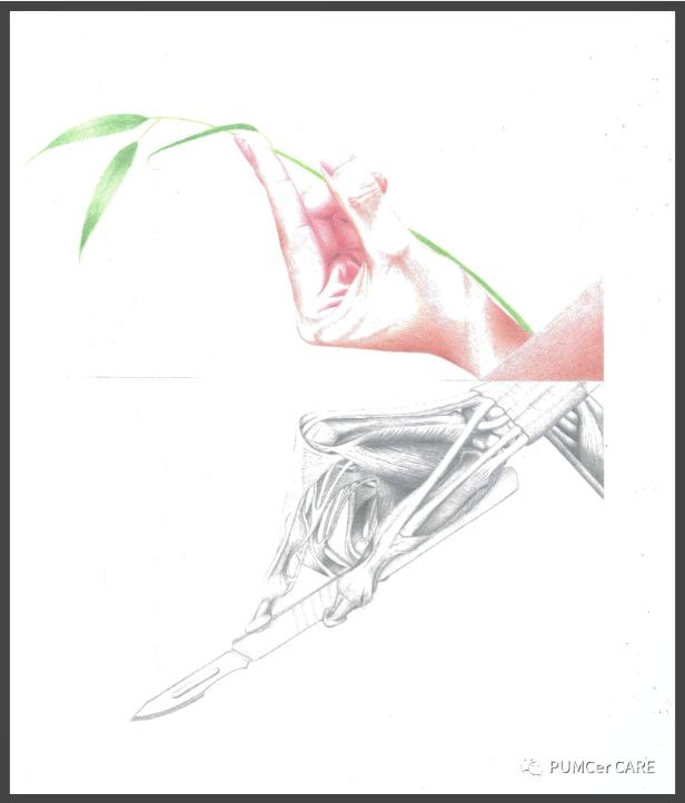 灵魂画手已出炉,灵魂画手来了图片