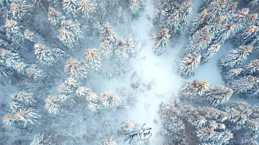 摄影讲堂冬季冰雪的拍摄技巧,冰雪拍摄技巧大全集