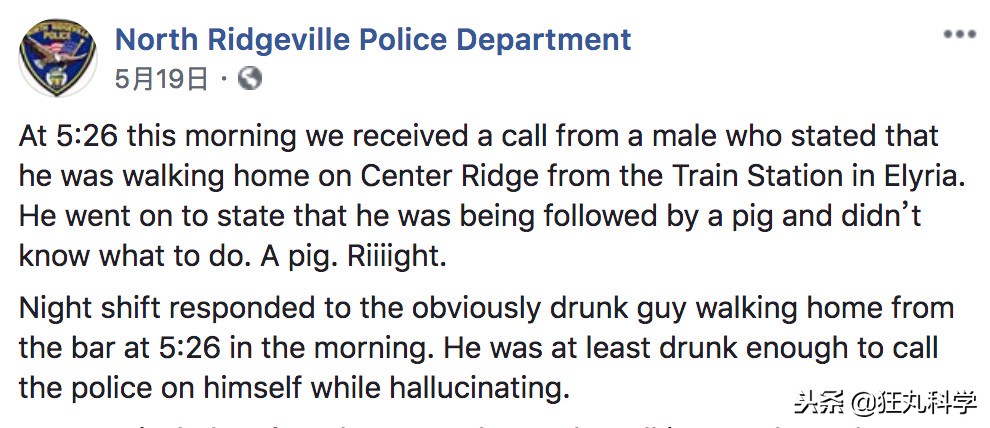 年度沙雕新闻合集,沙雕新闻播报合集