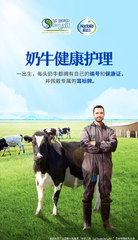 2017法国爱达力奶粉,法国爱达力有机奶粉