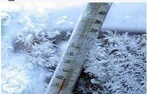 绿豆大曲冰饮,绿豆大曲如何