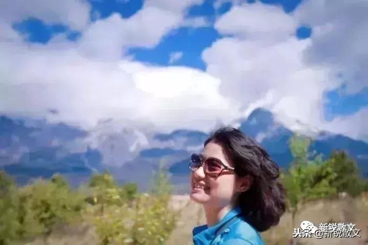 最常见的杨树,杨树属于什么树木类型