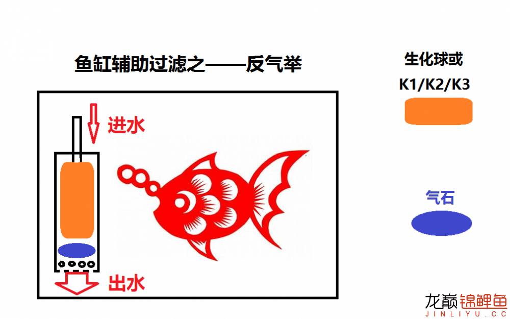 鱼池底部过滤大全详解,养鱼鱼池过滤怎么选择