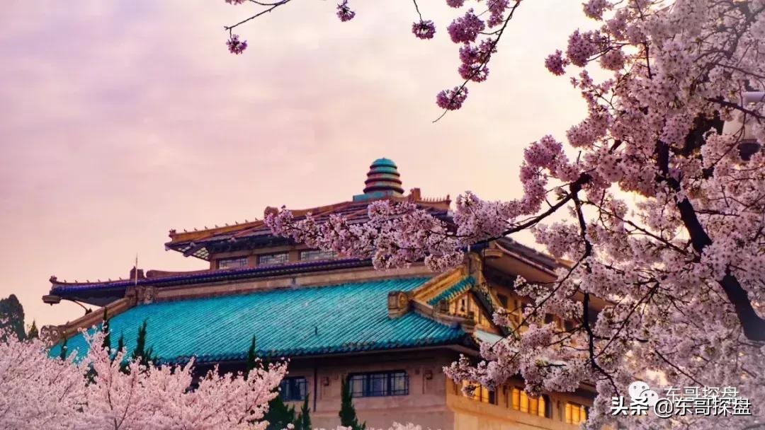 提前布局海南,提前布局基金